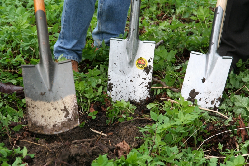 pepiniere-LA FARLEDE-min_work-lawn-flower-tool-green-backyard-1103633-pxhere.com